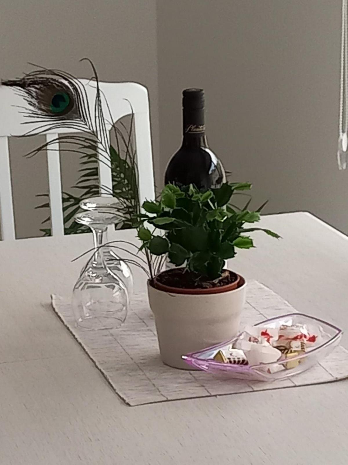 Apartments Alisa Κότορ Εξωτερικό φωτογραφία